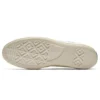 Chuck 70 EquinOX Low Top în Mason/Egret