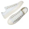 Chuck 70 Low Lace Trim „Egret Barely Grey”