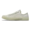 Chuck 70 „Translucent Egret”