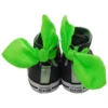 Chuck Taylor All Star Bow Back High Top „Black”