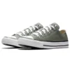 Chuck Taylor All Star Color sezonier Low Top „Gri Alb”