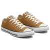 Chuck Taylor All Star Low „Burnt Honey”