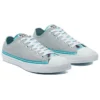Chuck Taylor All Star Low „Summer Daze – Ash Stone”