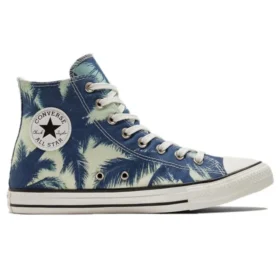 Chuck Taylor All Star maro/albastru