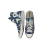 Chuck Taylor All Star maro/albastru