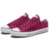 Chuck Taylor All Star Pro „Purple”