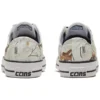 Chuck Taylor All Star Pro „White Leaves”