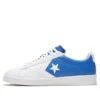 Hoops Pro Leather Albastru/Alb