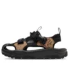 MSD CP „Maro-negru”