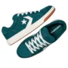 Pro Blaze Classic Low „Darkly Jaded”