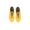 Skidgrip CVO „Gold Dart”
